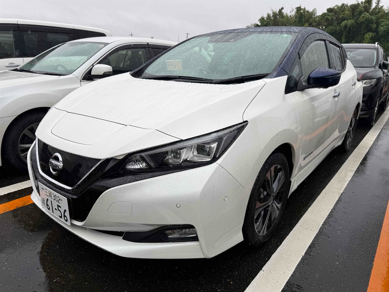2018 Nissan Leaf