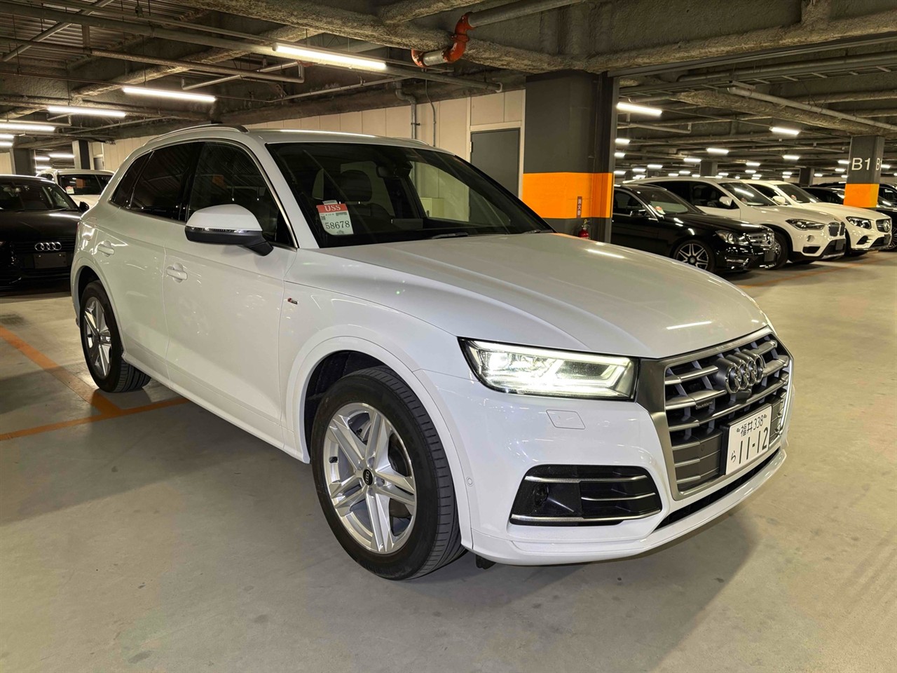 2019 Audi Q5