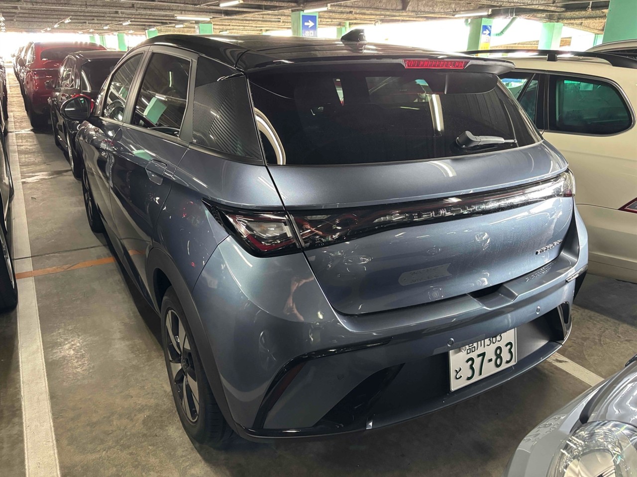 2025 BYD Dolphin