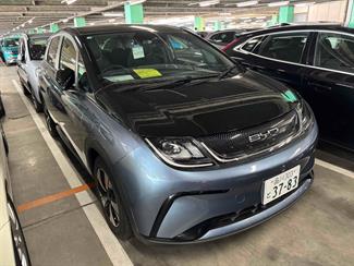 2025 BYD Dolphin - Thumbnail