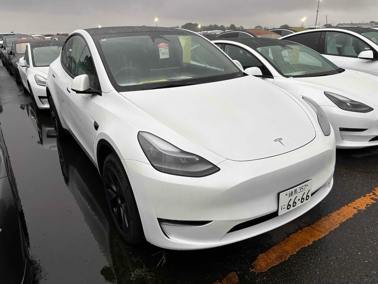 2024 Tesla Model Y