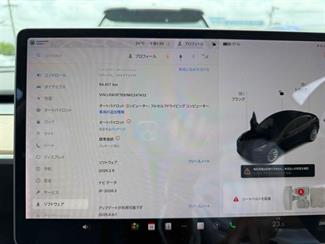 2021 Tesla Model 3 - Thumbnail
