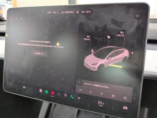 2021 Tesla Model 3 - Thumbnail