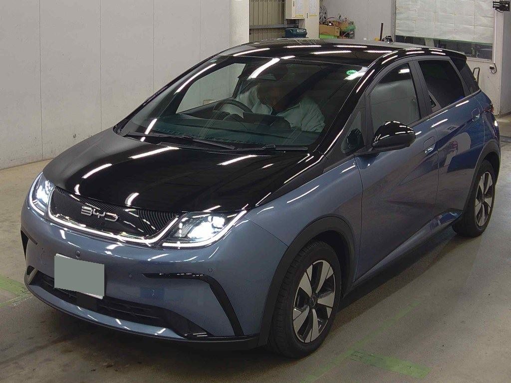 2024 BYD Dolphin